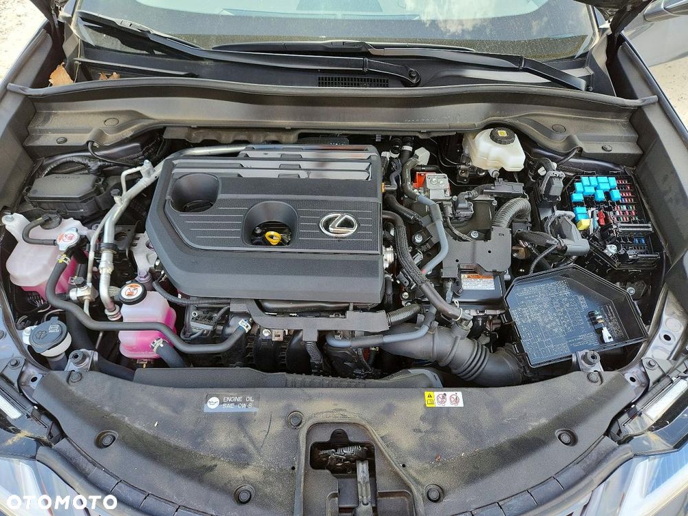 Lexus UX 300h Business - 13