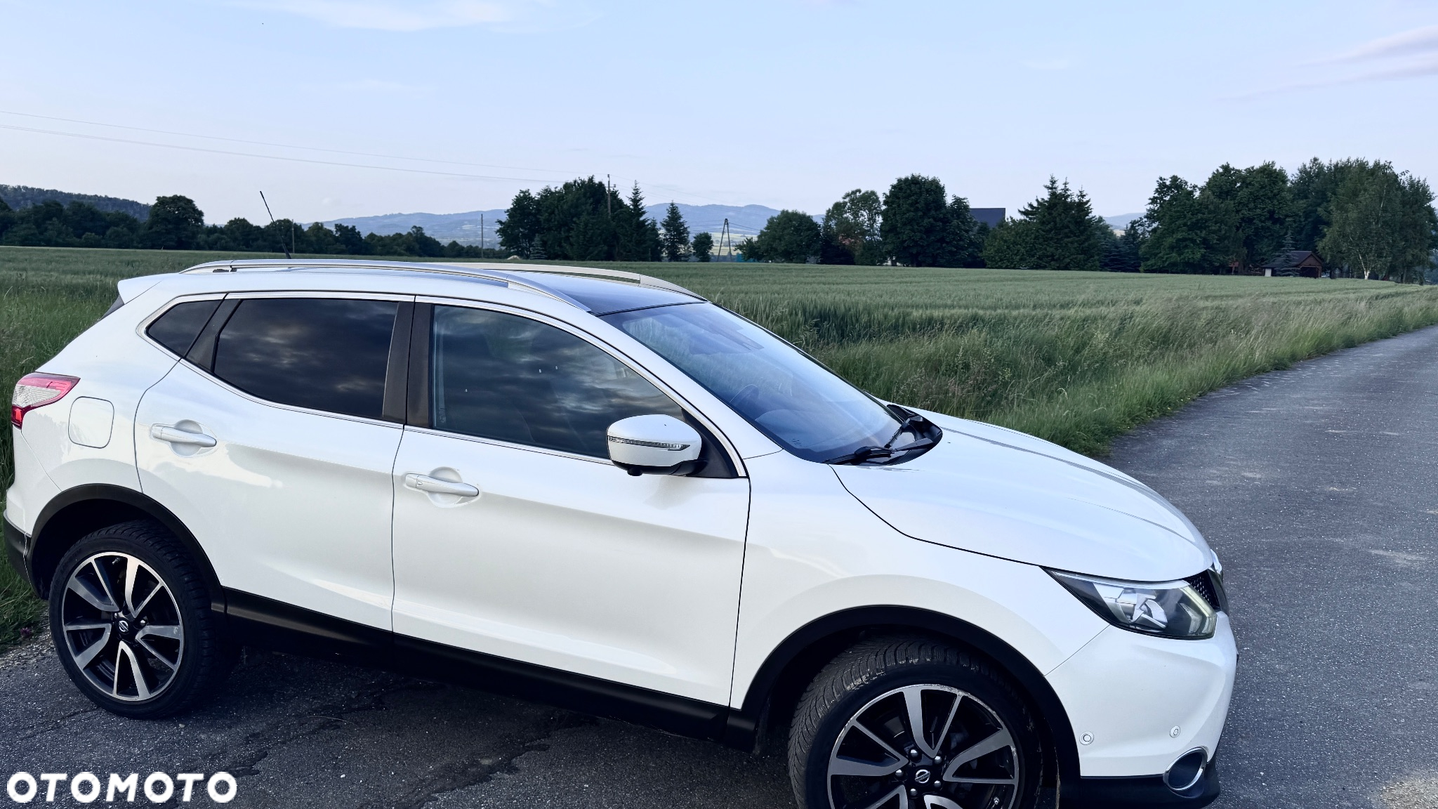 Nissan Qashqai 1.6 dCi 4x4 360 S&S - 3