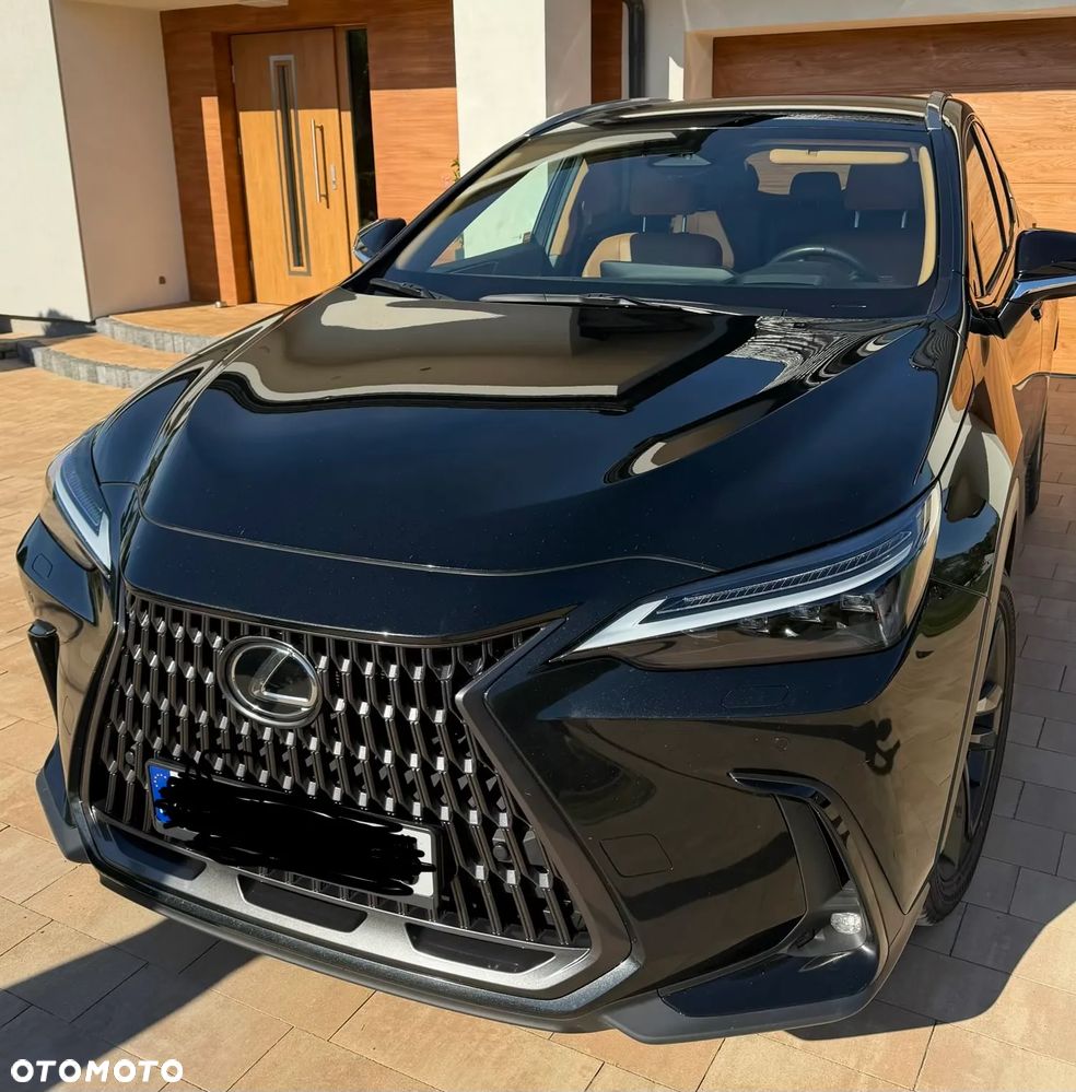 Lexus NX - 1