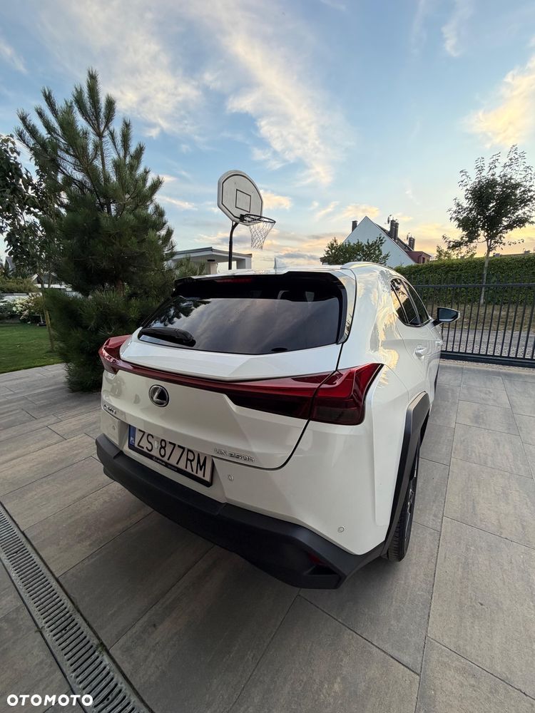Lexus UX 250h Prestige 2WD - 2