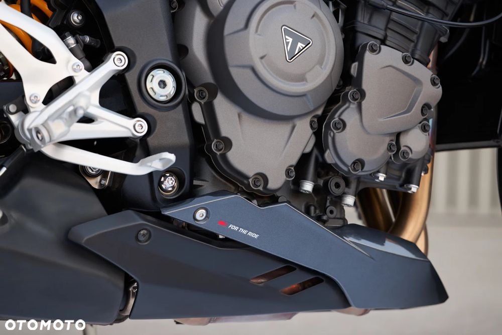 Triumph Speed Triple - 19