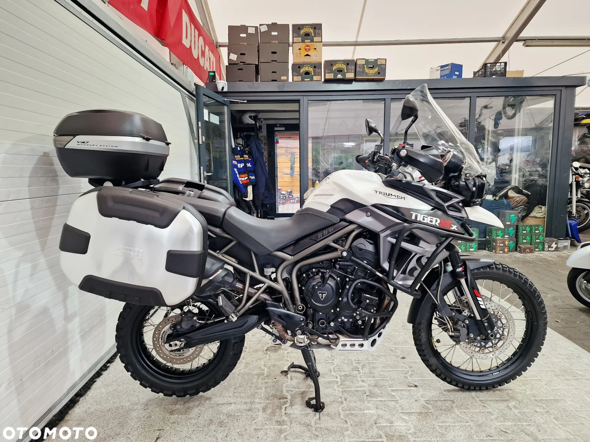 Triumph Tiger - 4