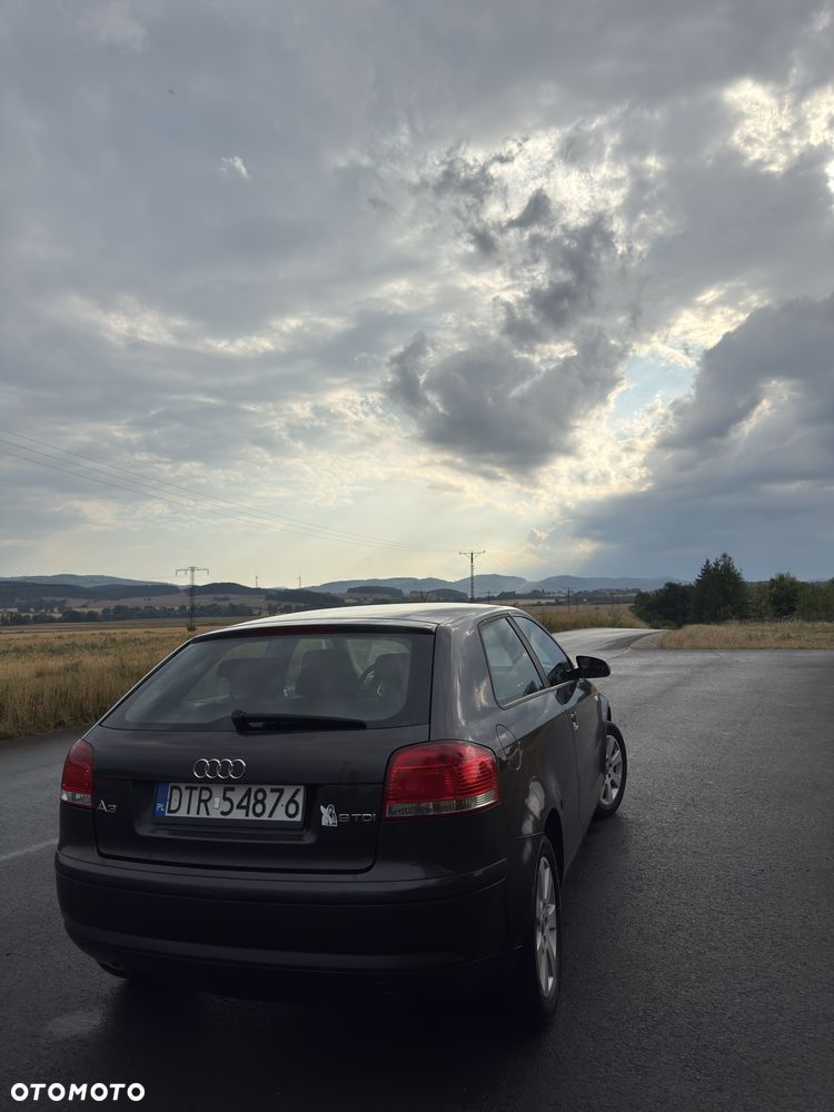 Audi A3 3-drzwiowe - 2