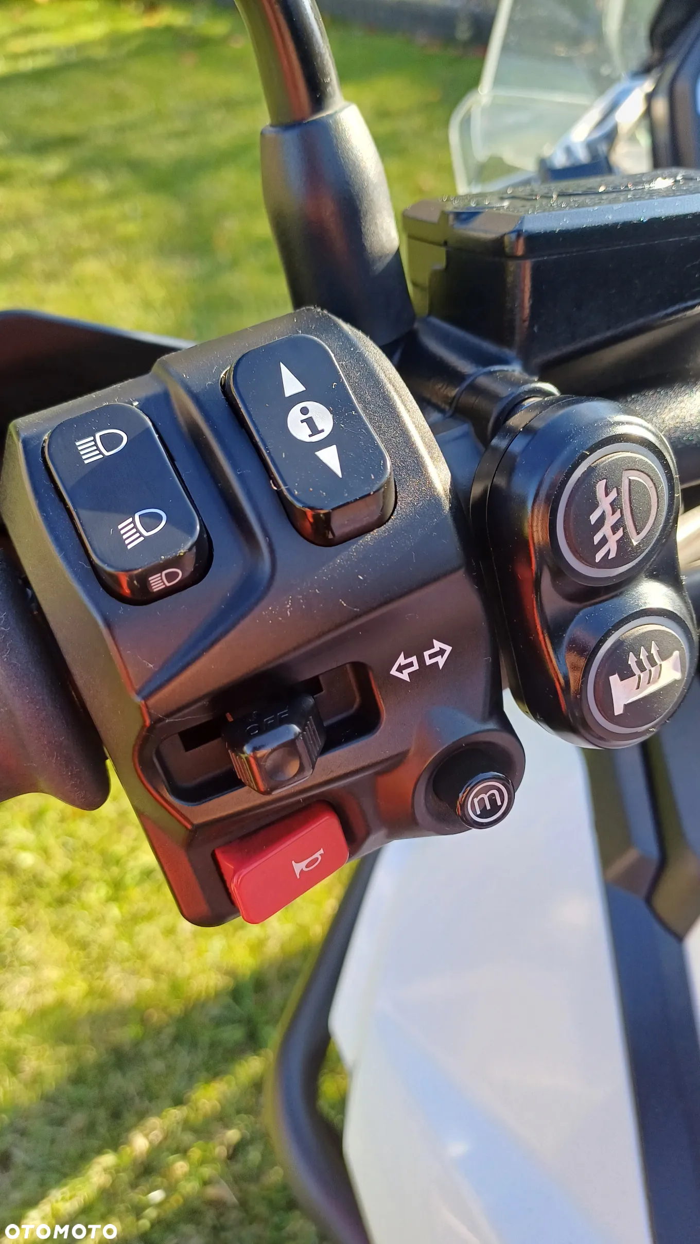 Triumph Tiger - 8