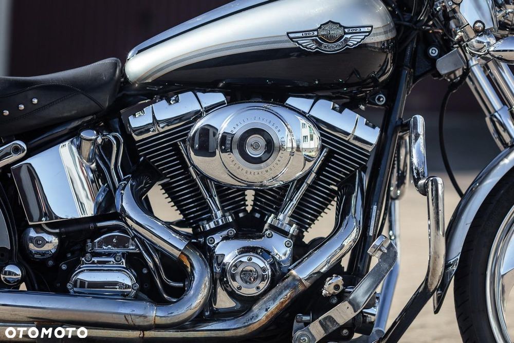 Harley-Davidson Softail - 14