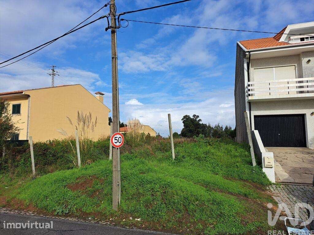 Terreno em Anta e Guetim - Grande imagem: 3/5