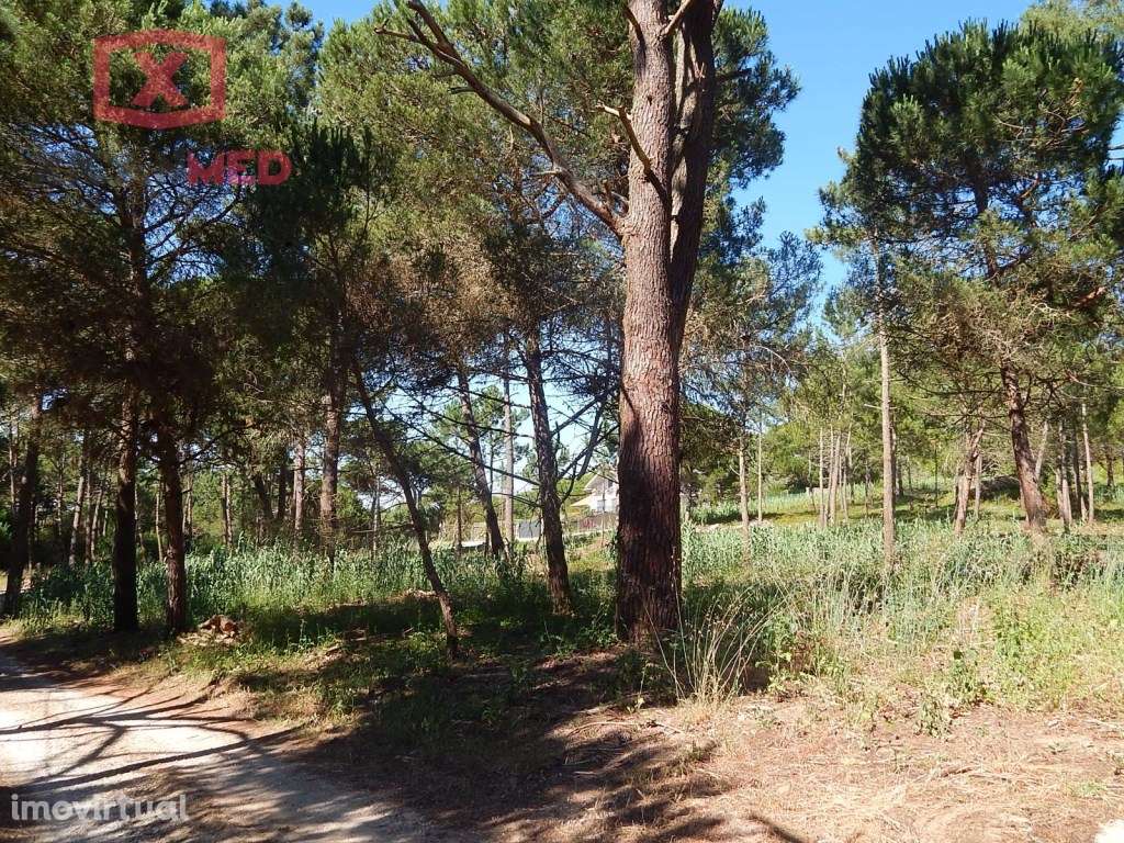 Colares - Grande imagem: 3/16