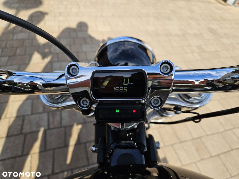 Harley-Davidson Softail Standard - 11