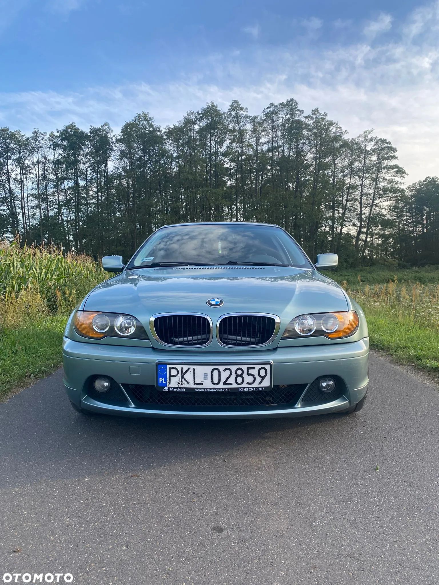 BMW Seria 3 330 Ci - 1