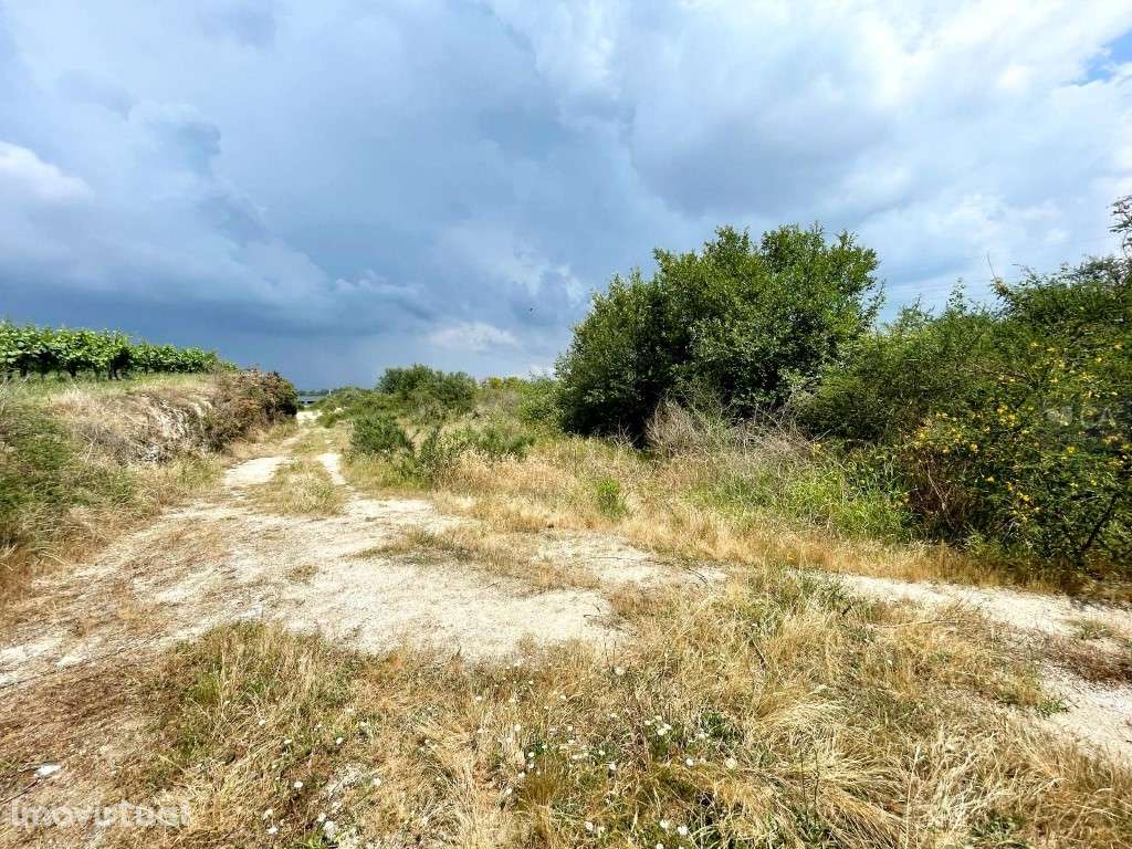 Terreno para construção com 22.442m² situado em Lugar do Picoto, co... - Grande imagem: 3/4