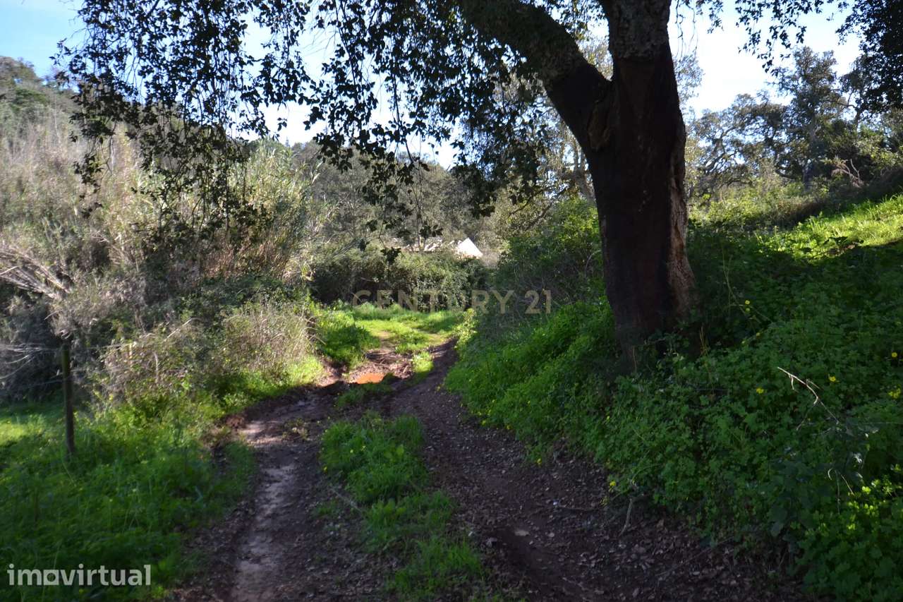 Terreno Rústico e Urbano com mais de 4 hectares na Barranquinha | Port - Grande imagem: 3/33