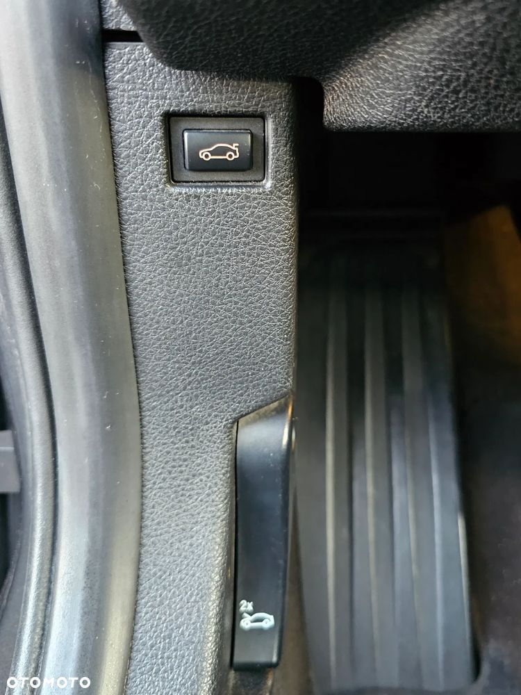 BMW Seria 3 320d Blue Performance Luxury Line - 32