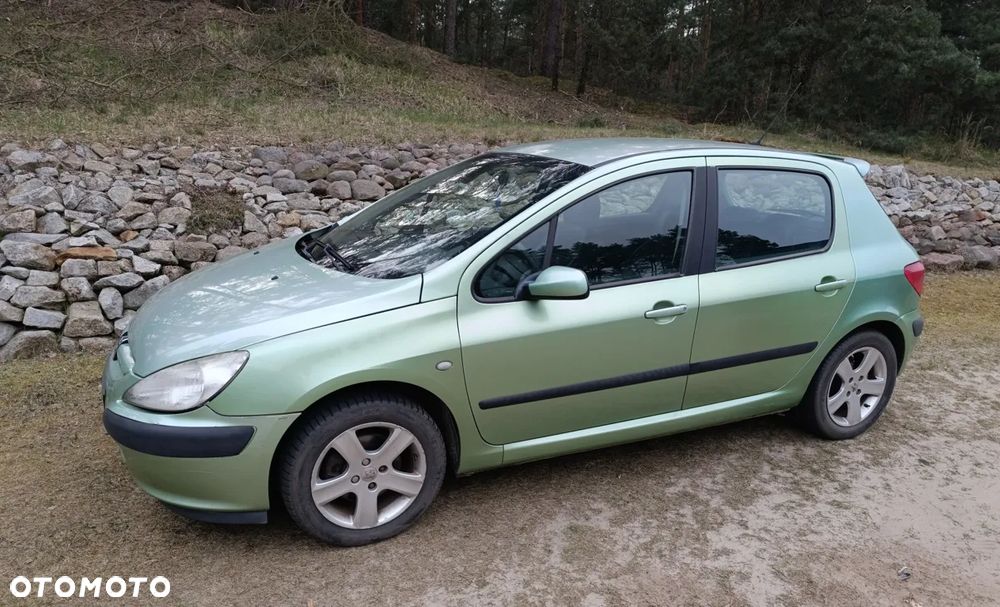 Peugeot 307 1.6 - 3
