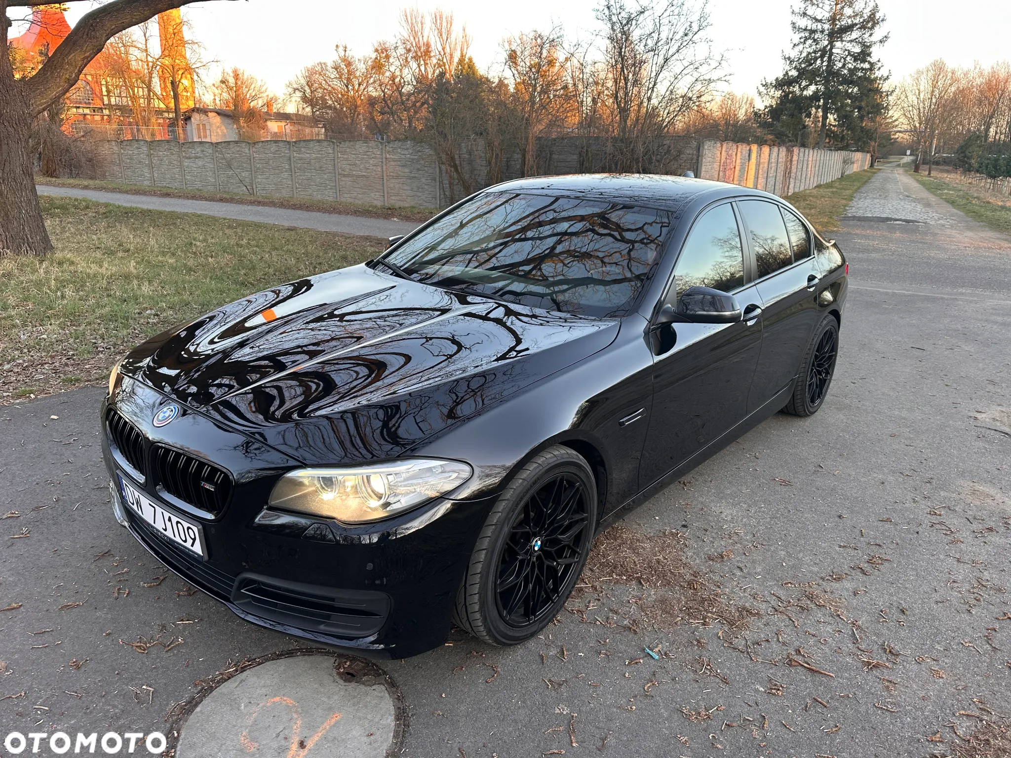 BMW Seria 5 518d Luxury Line - 12