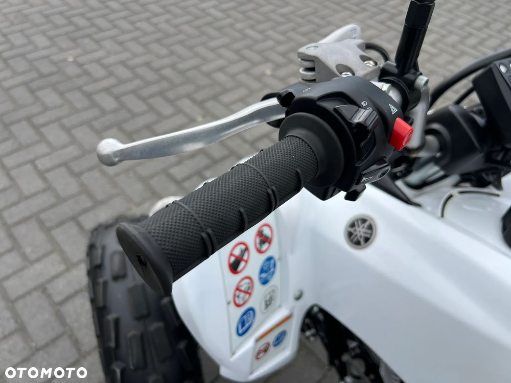 Yamaha Raptor - 4