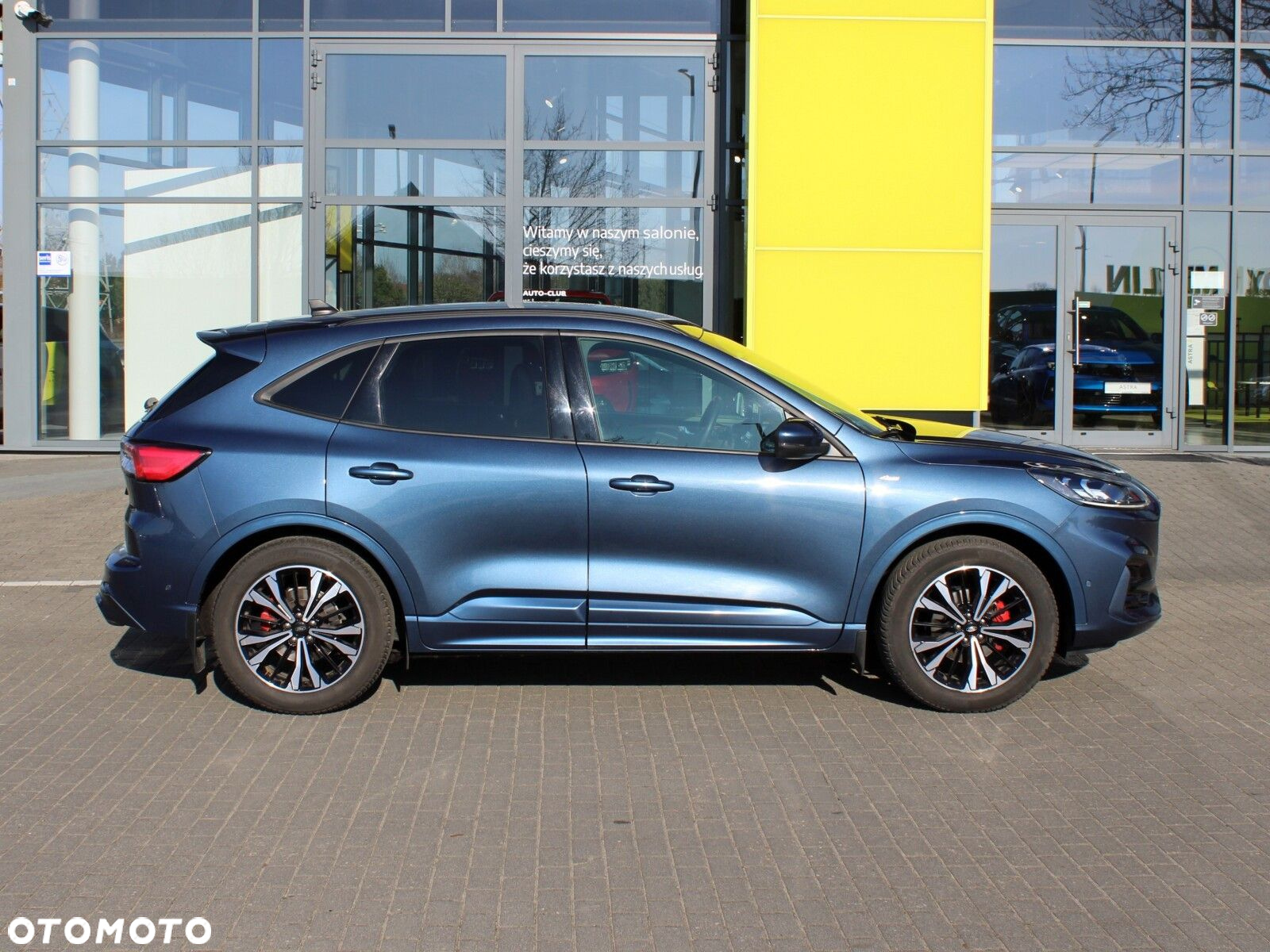 Ford Kuga 2.0 EcoBlue AWD ST-Line X - 5