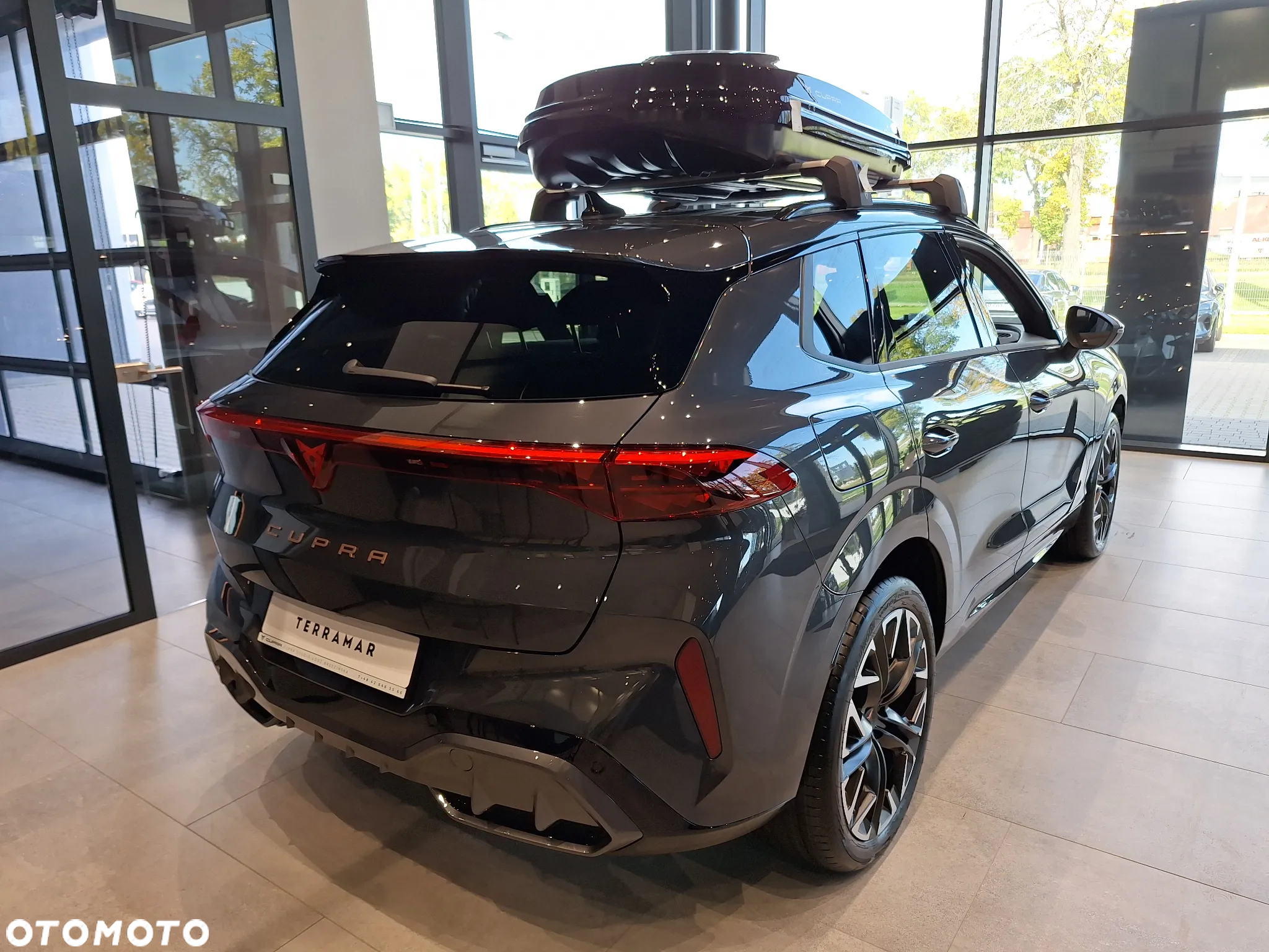 Cupra Terramar - 8
