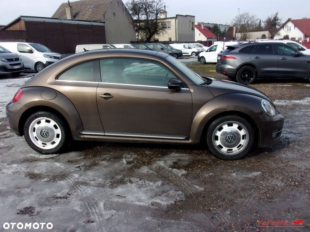 Volkswagen Beetle - 11