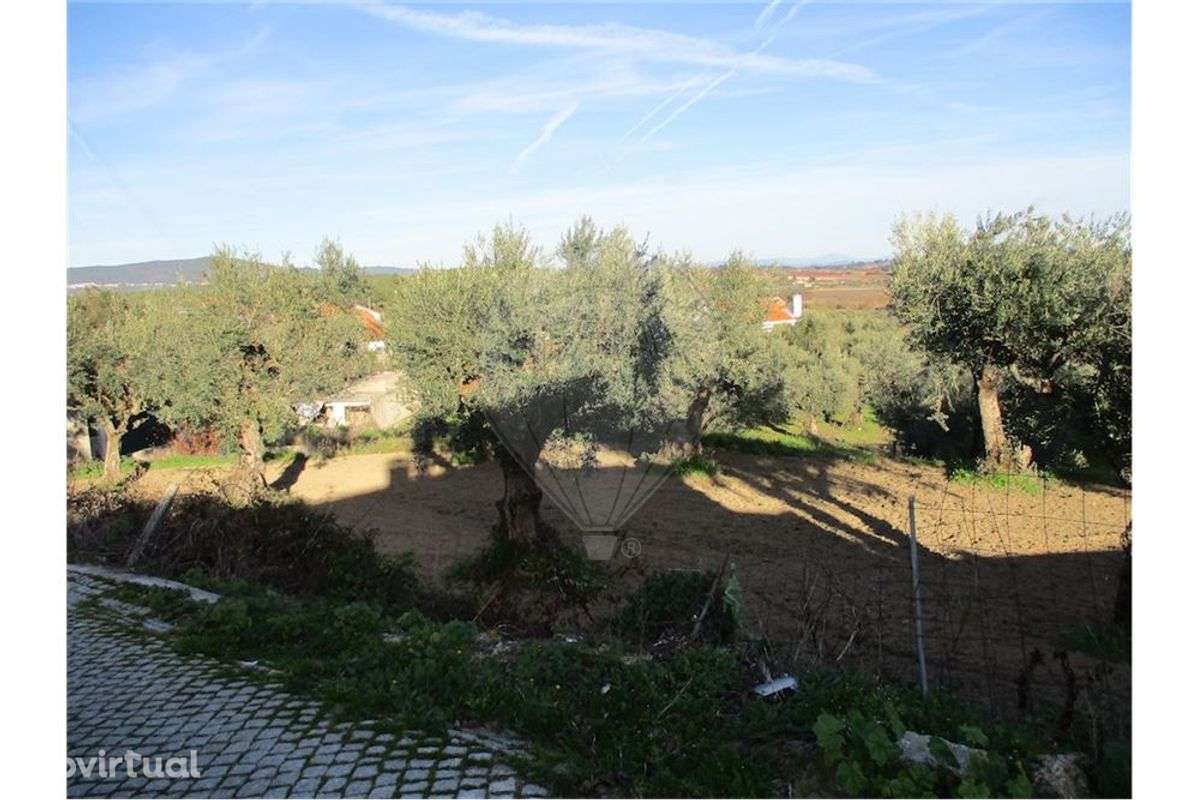 Quinta T0 para venda - Grande imagem: 4/8