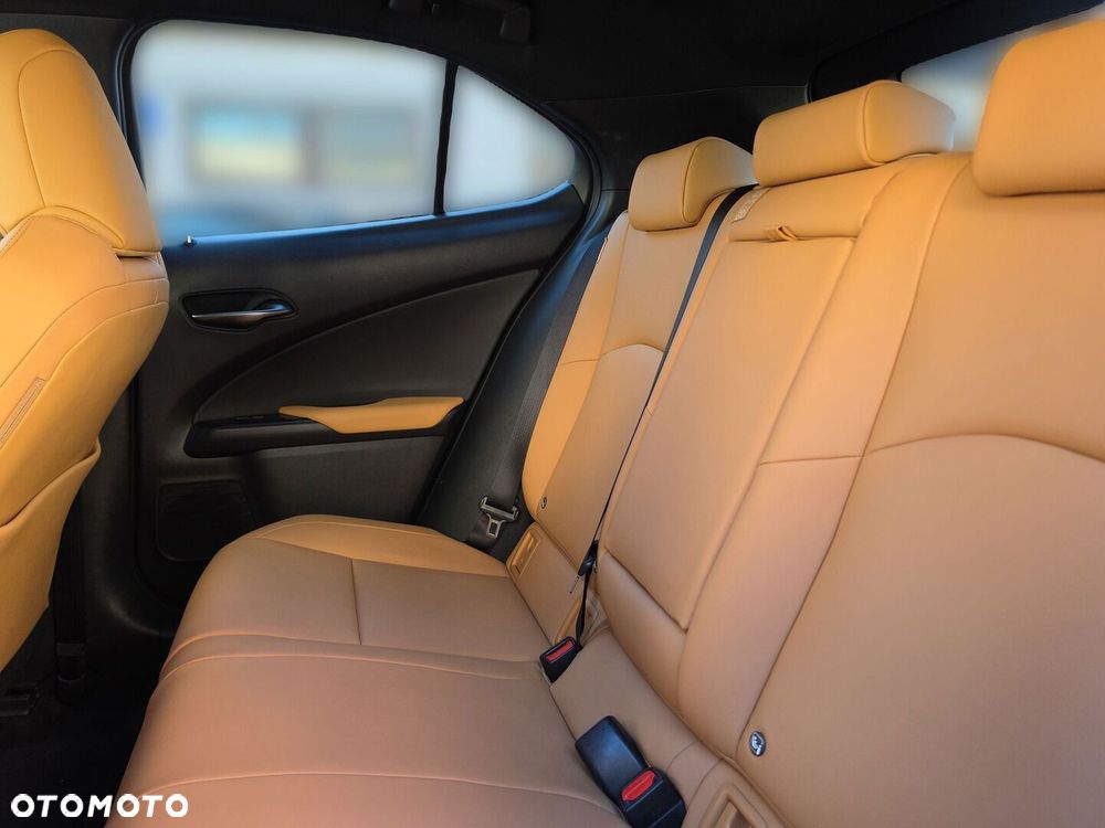 Lexus UX 250h GPF F Sport Design 2WD - 26
