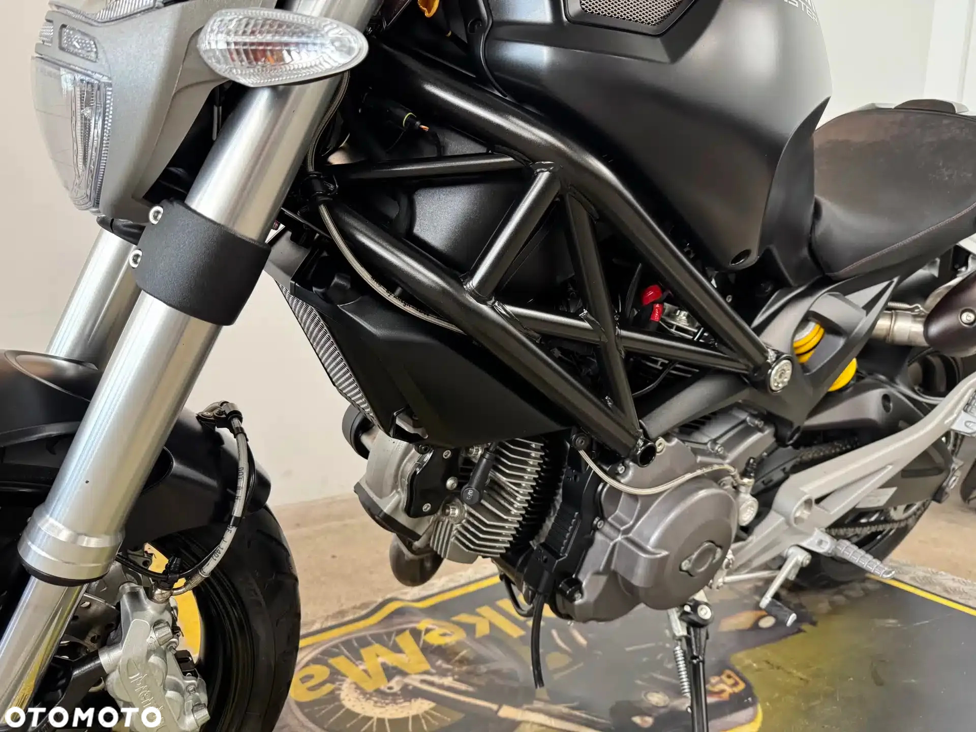 Ducati Monster - 19