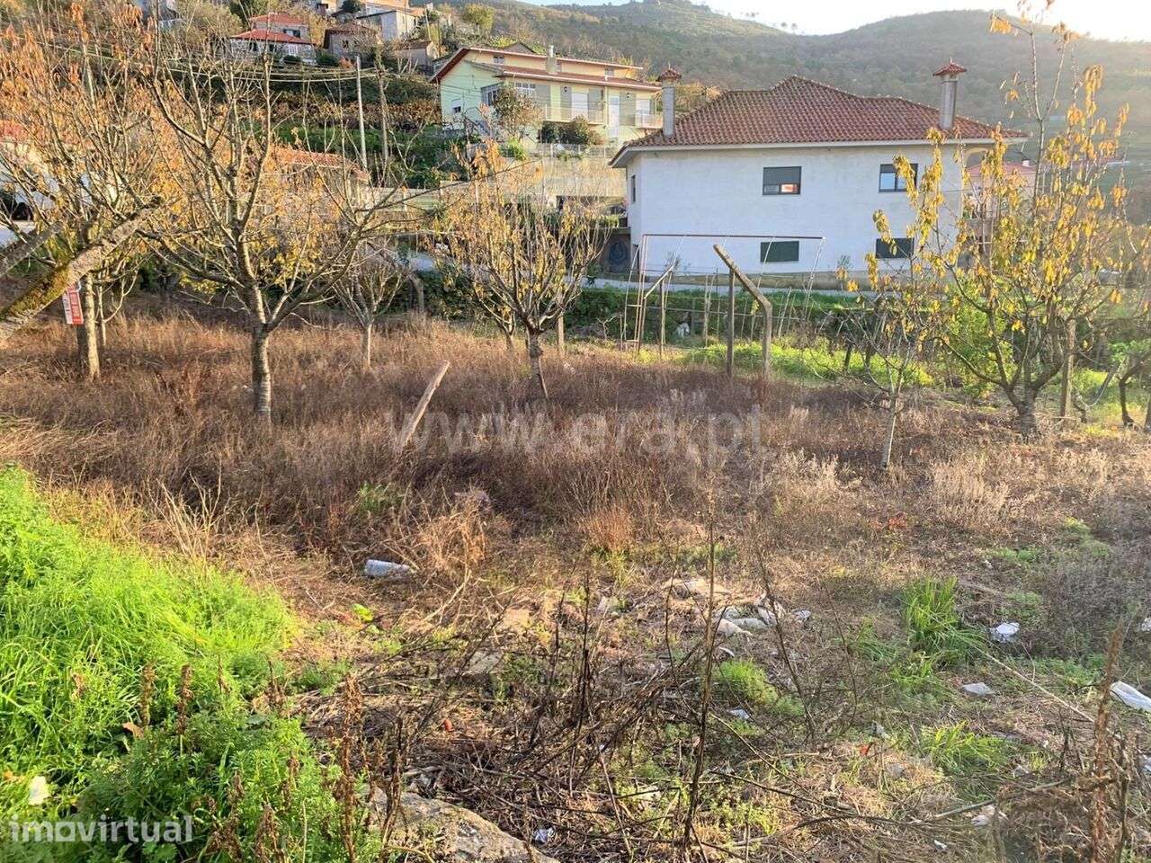 Terreno / Resende, Anreade e São Romão de Aregos - Grande imagem: 3/7