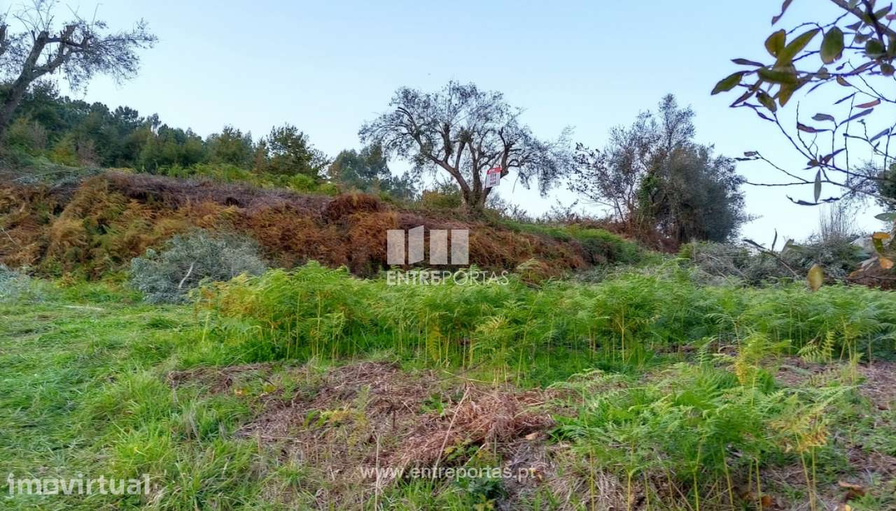 Terreno para venda, São Julião, Valença - Grande imagem: 2/30