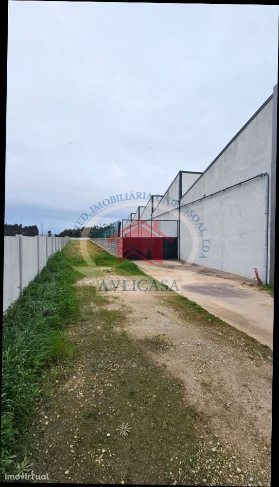 ARMAZÉM INDUSTRIAL - Grande imagem: 3/21