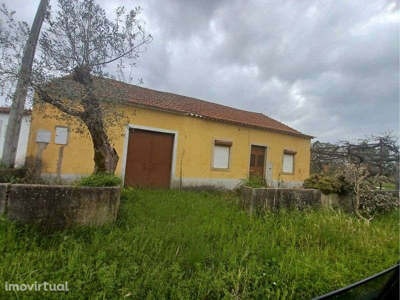 Vende-se 3 terrenos com casa e posibilidade de contricão - Grande imagem: 4/5