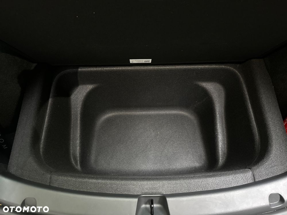 Tesla Y Performance AWD - 21