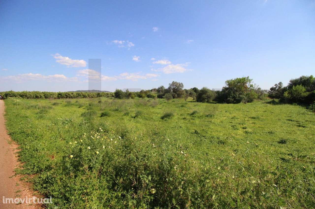 Terreno rustico com 8610 m2, Barranco Longo, Algoz - Grande imagem: 3/20