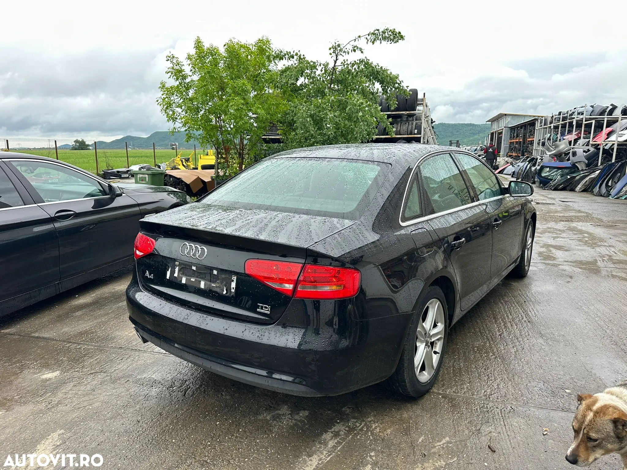 Dezmembrari Audi A4 B8.5 2013 / 2.0TDI / CGL - 3