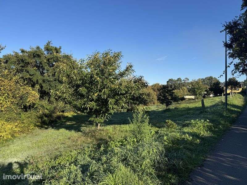 Terreno para agricultura ou criação de animais- Maia - Grande imagem: 2/5
