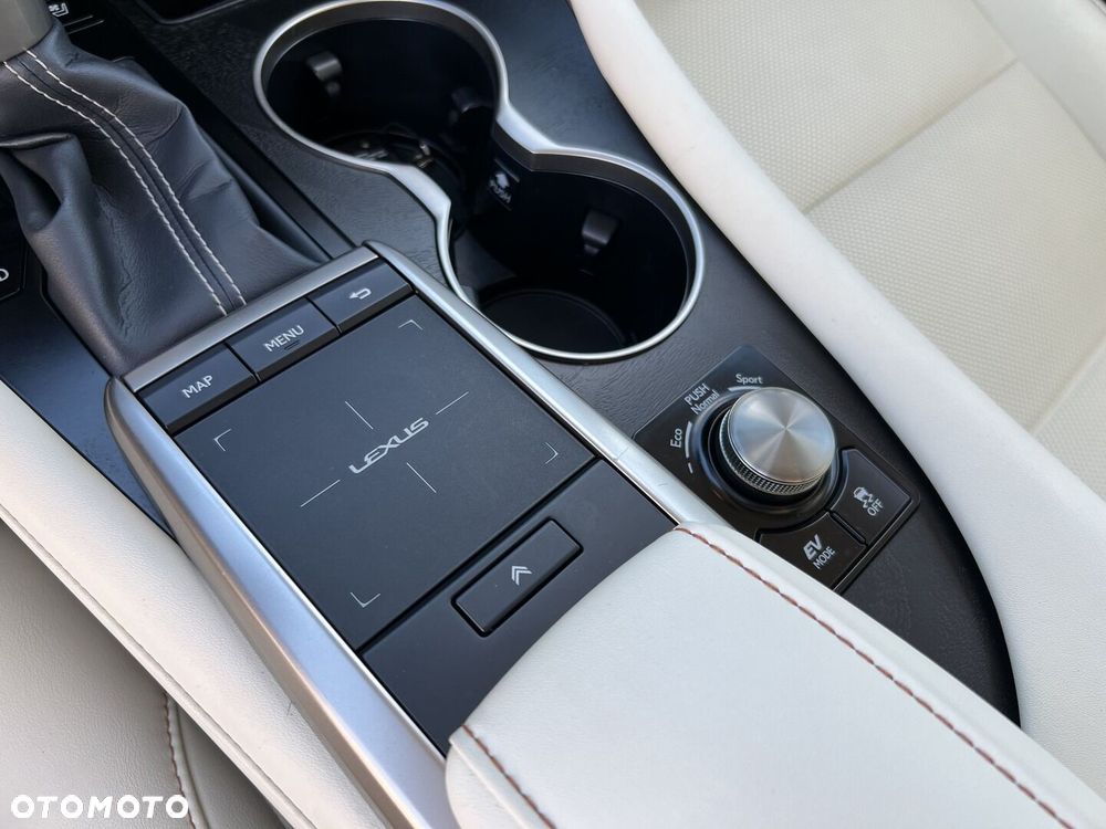 Lexus RX 450h F-Impression - 17