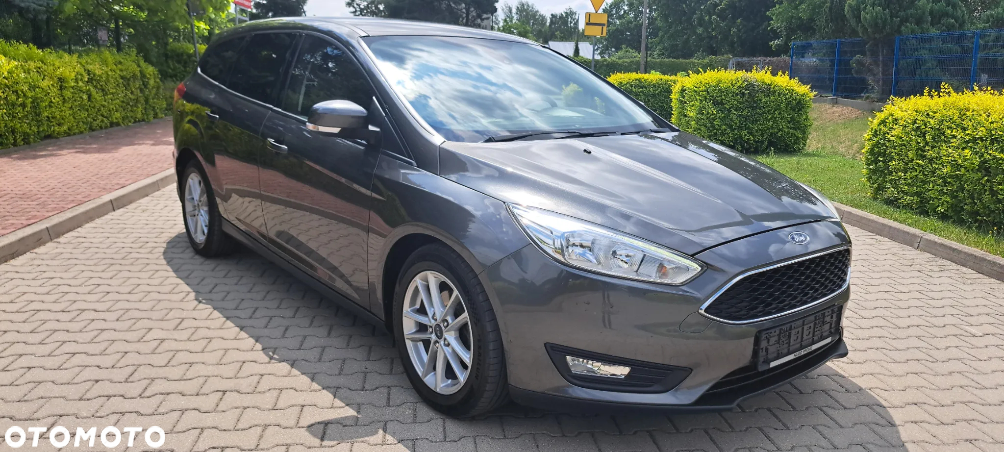 Ford Focus - 15