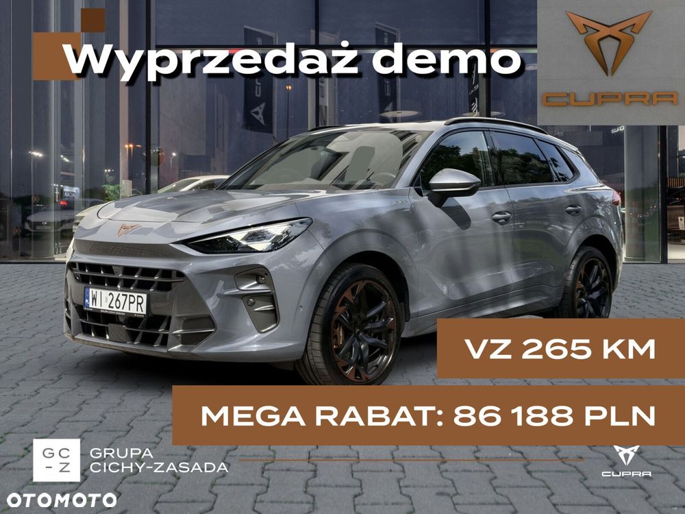 Cupra Terramar - 1