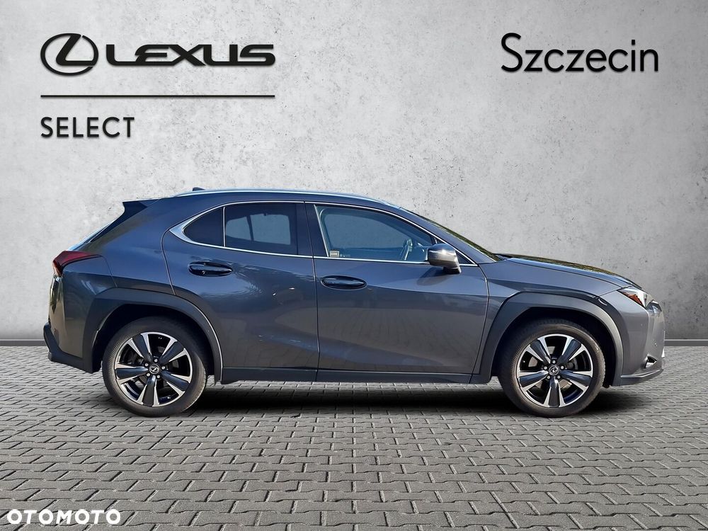 Lexus UX 250h GPF Business 2WD - 6