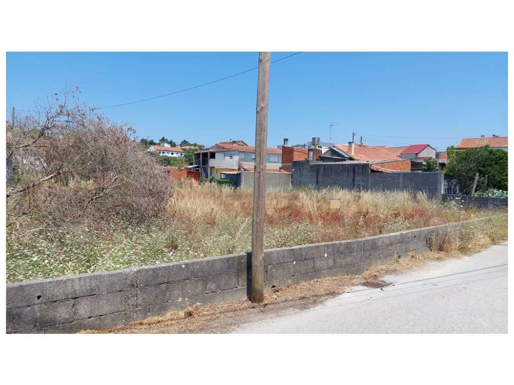 Terreno para construção nas Várzeas - Souto da Carpalhosa - Grande imagem: 4/5