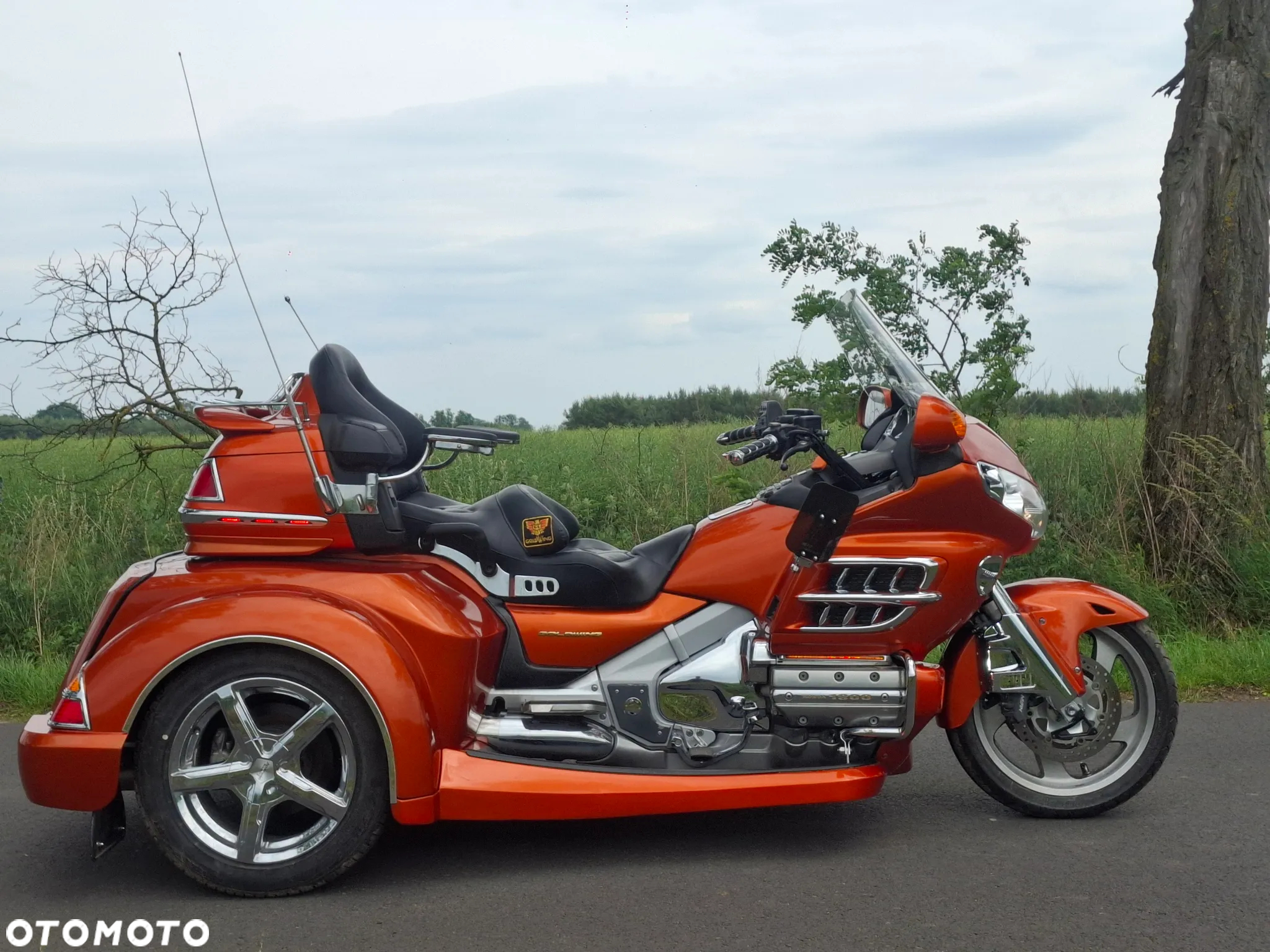 Honda GL - 6