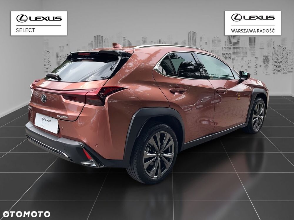 Lexus UX 300h F Sport Design - 3