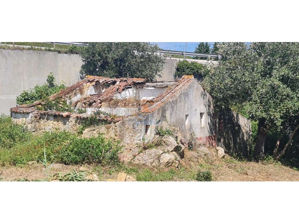 MTM6873 - Quintinha 3.000m2 | Torres Vedras - Grande imagem: 5/11