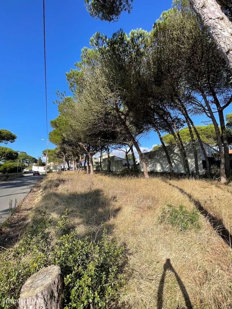 Terreno Urbano com 1400m2 em Magoito, Sintra - Grande imagem: 4/7