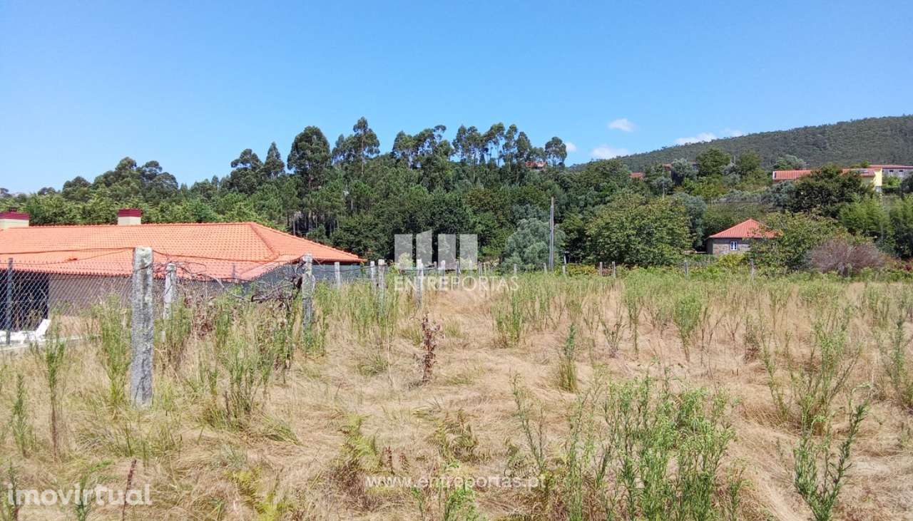 Terreno para venda, Argela, Caminha - Grande imagem: 5/16