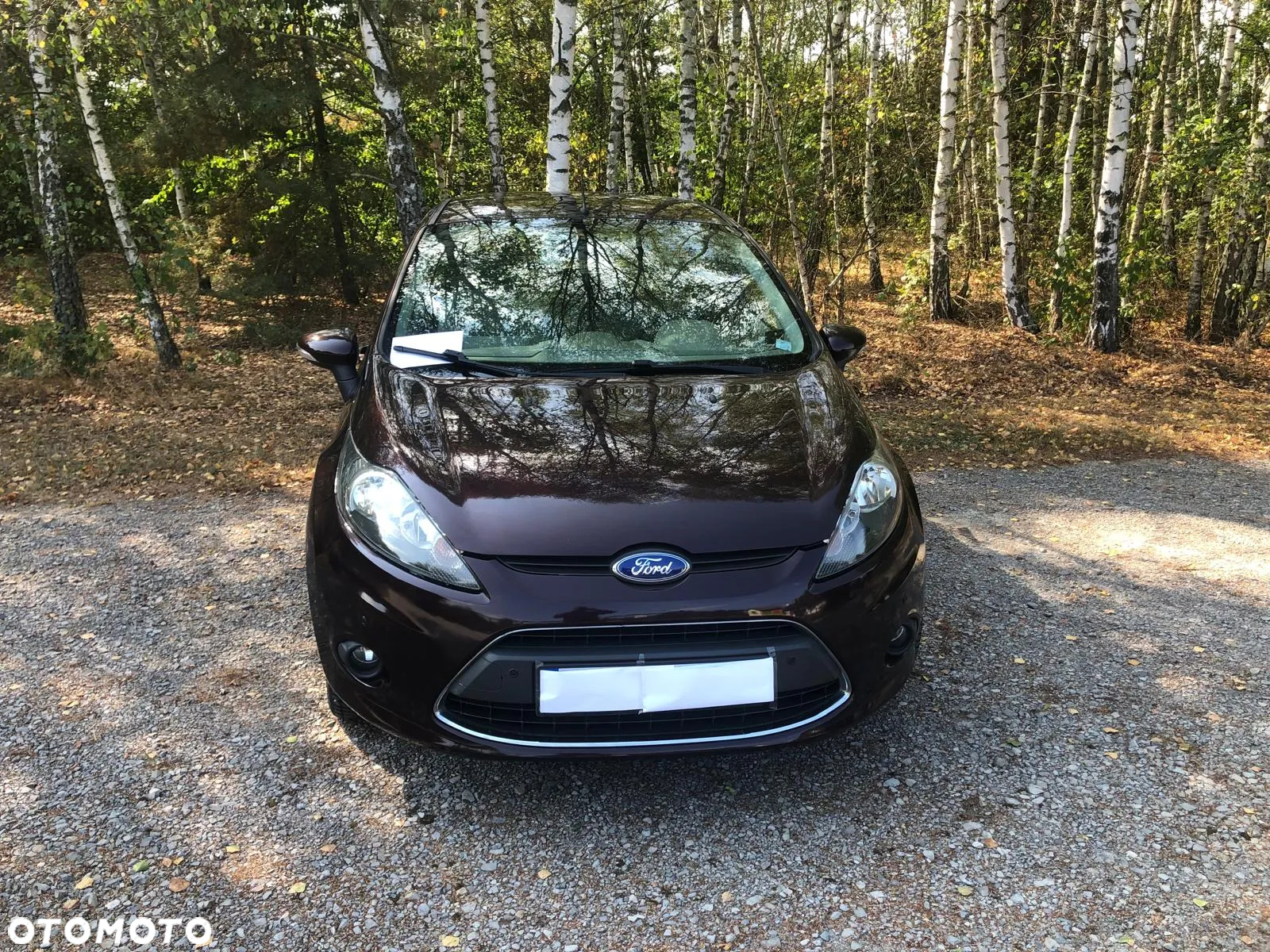 Ford Fiesta 1.25 Gold X EU5 - 4