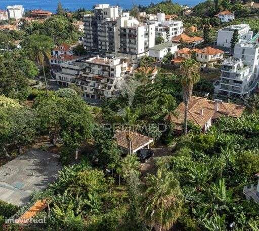 VENDO QUINTA T3 ESTILO MADEIRENSE NOS BARREIROS - Grande imagem: 2/2