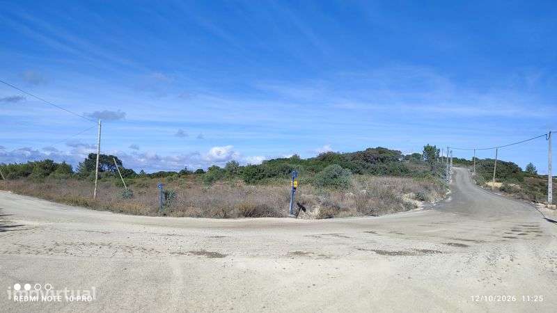 Terreno para alugar- 8500 M2 - Grande imagem: 5/5