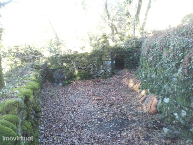 Terrenos em Adrão - Soajo - Grande imagem: 4/8