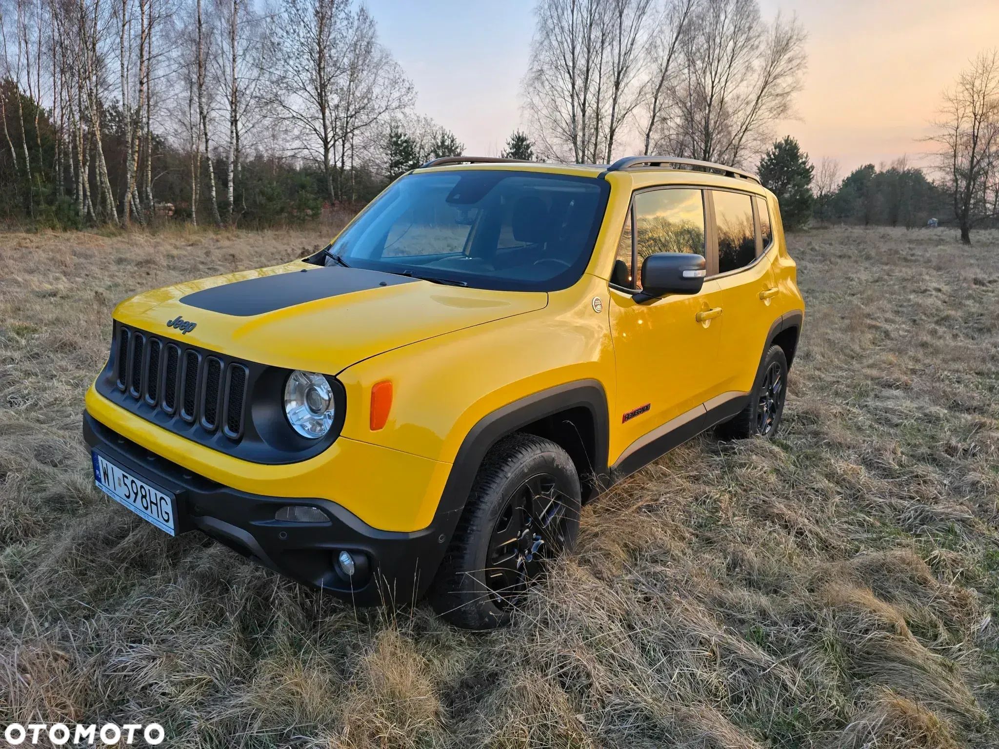 Jeep Renegade 2.0 MultiJet Trailhawk 4WD S&S - 1