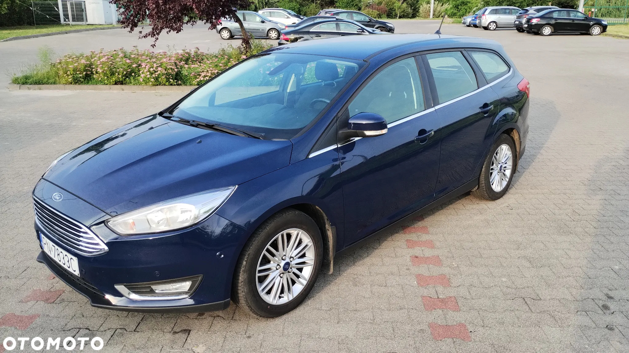 Ford Focus - 11