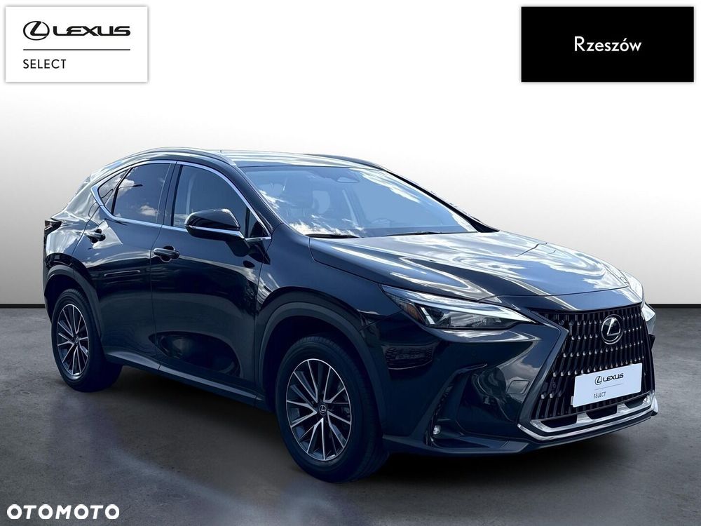 Lexus NX 350h Prestige AWD - 7